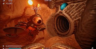 Dig Baby Dig Company