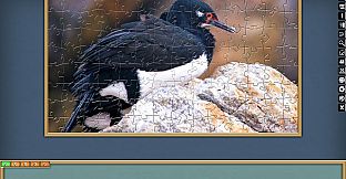 Jigsaw Puzzle Pack - Pixel Puzzles Ultimate: PP2 Birds