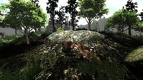 Untamed: Life Of A Cougar