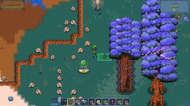 Oasis Bloom