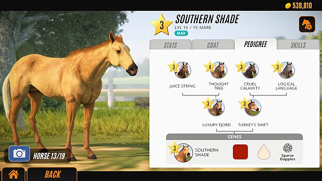 Rival Stars Horse Racing: Desktop Edition