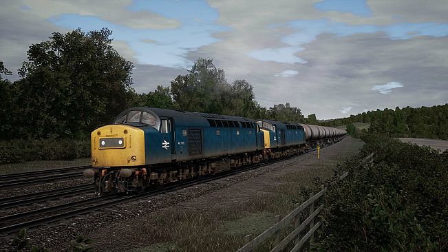 Train Sim World 4 Compatible: BR Heavy Freight Pack Loco Add-On