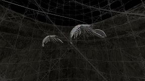 My Inner Ear Quartet