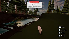 Dog Walking Adventures