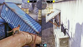 Little Strays - Havana