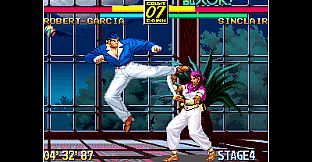 ACA NEOGEO ART OF FIGHTING 3 for Windows