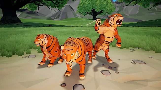 Agrou - Tiger Pet