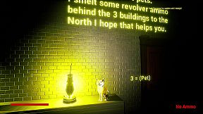 What Happens After Midnight?