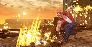 FIGHTING EX LAYER - Character: Terry