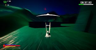 Unexpected Pigeon Race