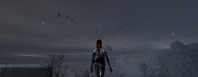 Order of the Assassin