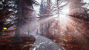 Great North Shelter 2