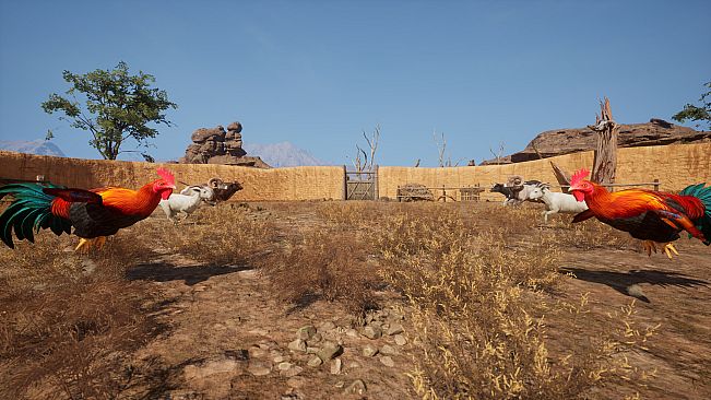 Ram Fights