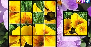 OG Puzzlers: Spring 2K24