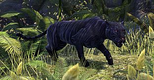 The Elder Scrolls Online - Crown Packs