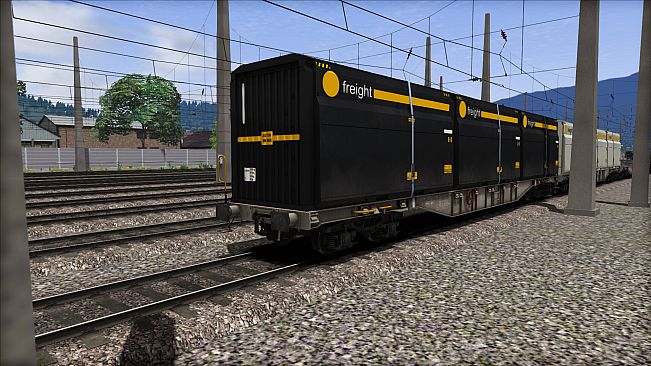 TS Marketplace: ÖBB Sgns Container Wagon Pack