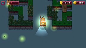 Lost Kittens: Maze Garden