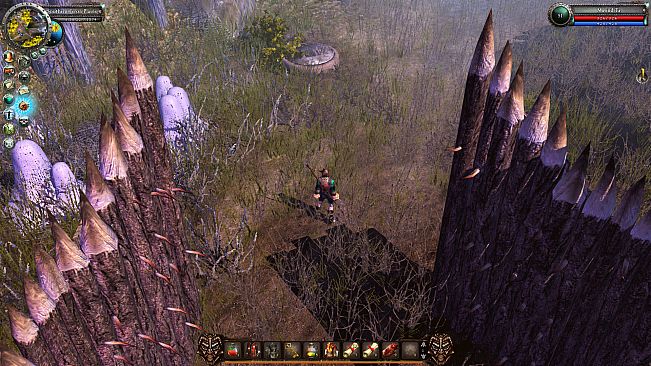 Legends of Dawn Reborn