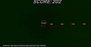Ninja Soldier Raid