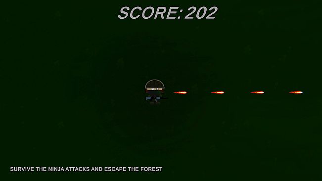 Ninja Soldier Raid
