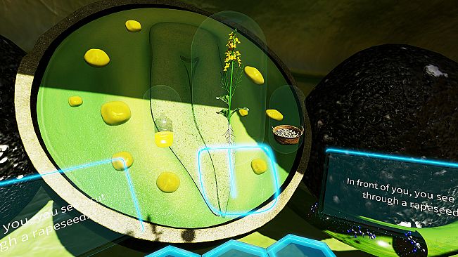 VR Plant Journey
