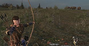 Mount & Blade: Warband - Viking Conquest Reforged Edition