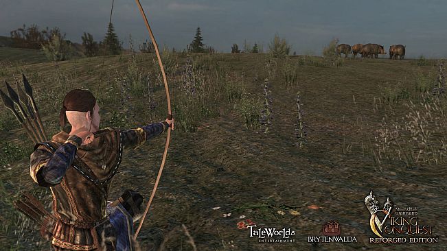 Mount & Blade: Warband - Viking Conquest Reforged Edition