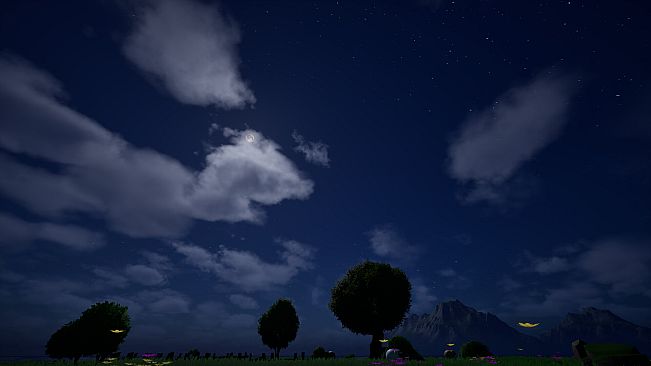 Sleeping: Counting Sheep