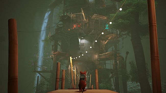 Stray