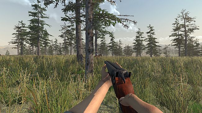 Sierra Madre: The Wild West