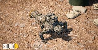 Squad Emotes - Free PT Pack