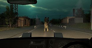 Anomaly Road