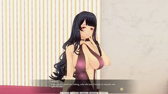 CUSTOM ORDER MAID 3D2 & 2.5 Situation Character Pack Soapland Empire Elegant