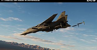 DCS: F-14B(U) Speed & Angels Campaign by Reflected Simulations