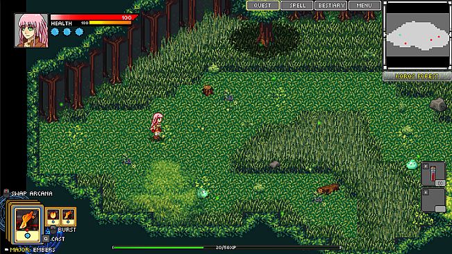 Hero Soul: I want to be a Hero!