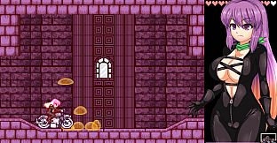 Hijiri in the Succubus Castle