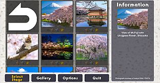 Jigsaw Masterpieces : Sakura - Japanese Cherry Blossoms -