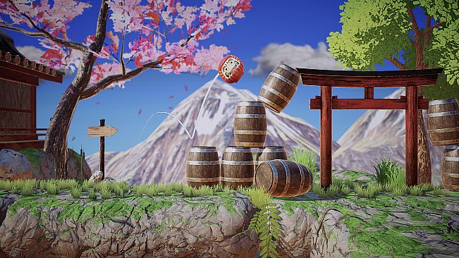 THE DARUMA CHALLENGE