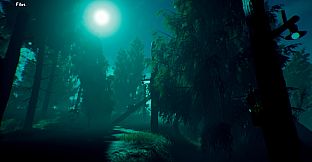 During Before And After COVID-19