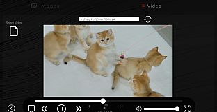 Online Adult Content Manager - Local Content Manager