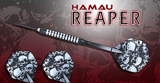 Dan Sisal's 501 Darts Trainer