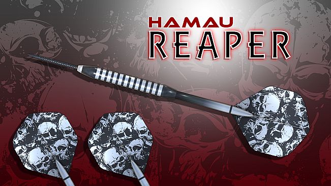 Dan Sisal's 501 Darts Trainer