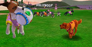 Jerry Rice & Nitus' Dog Football