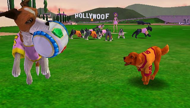 Jerry Rice & Nitus' Dog Football