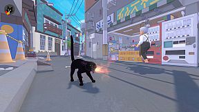 Little Kitty, Big City