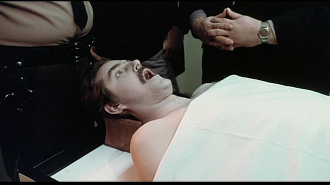 ROUGH KUTS: Invasion of the Bee Girls