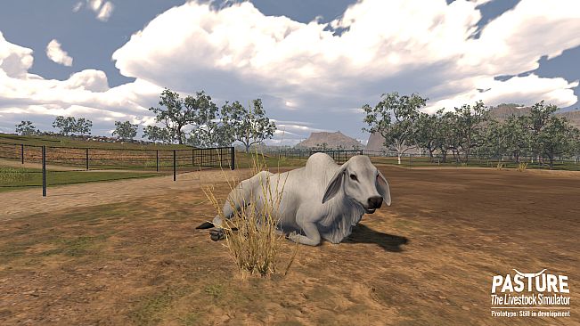 Pasture: The Livestock Simulator