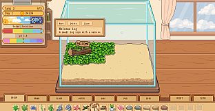 Tiny Glass Tank: Dwarf Shrimp and Friends