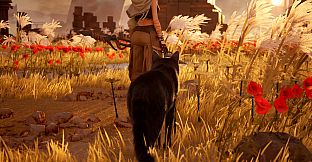 Ylem's Cat