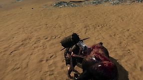 Survisland / 实境求生